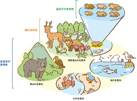 木動物|木の遺伝的な多様性が、樹上の生態系の多様性をつ。